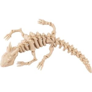 Small Articulated Dragon Skeleton