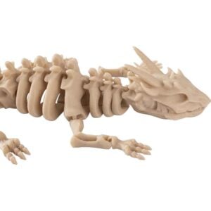 Small Articulated Dragon Skeleton