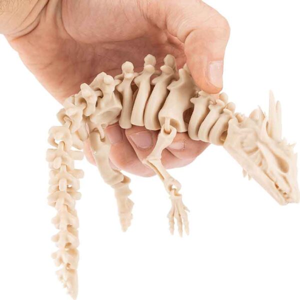 Small Articulated Dragon Skeleton