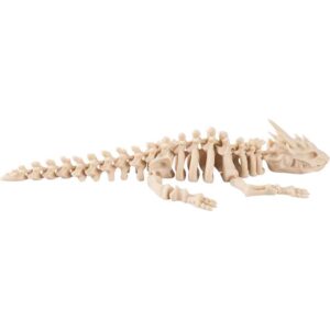 Small Articulated Dragon Skeleton