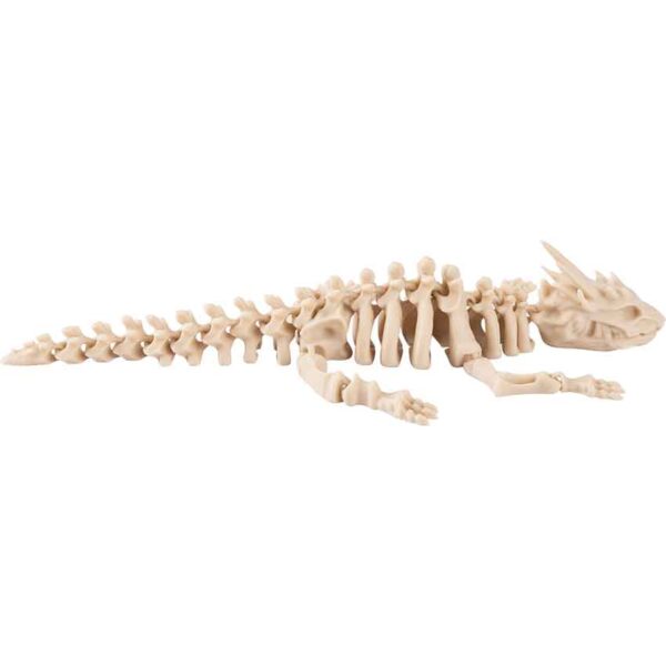 Small Articulated Dragon Skeleton