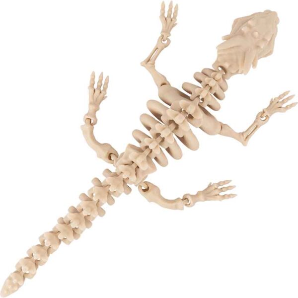 Small Articulated Dragon Skeleton