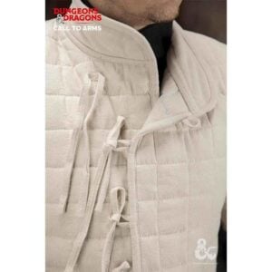 Dungeons & Dragons Basic Gambeson