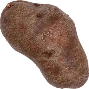 La Patate LARP Throwing Potato