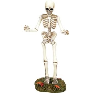 Sized For Surprise! - Halloween Village Accessories by Department 56