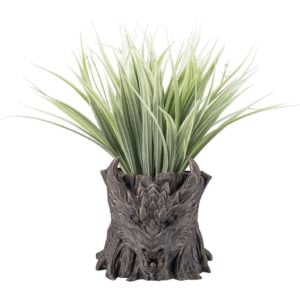 Dragon Head Planter