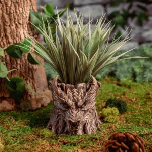 Dragon Head Planter