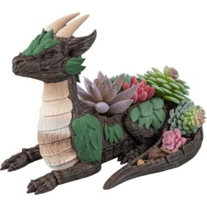 Leafy Dragon Succulent Planter