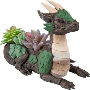Leafy Dragon Succulent Planter