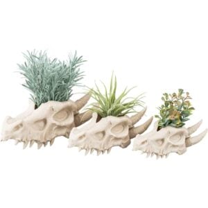 Dragon Skull Planter