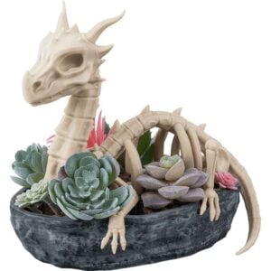 Dragon Skeleton Succulent Planter