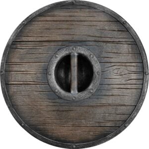 Vedrfolnir Viking LARP Shield