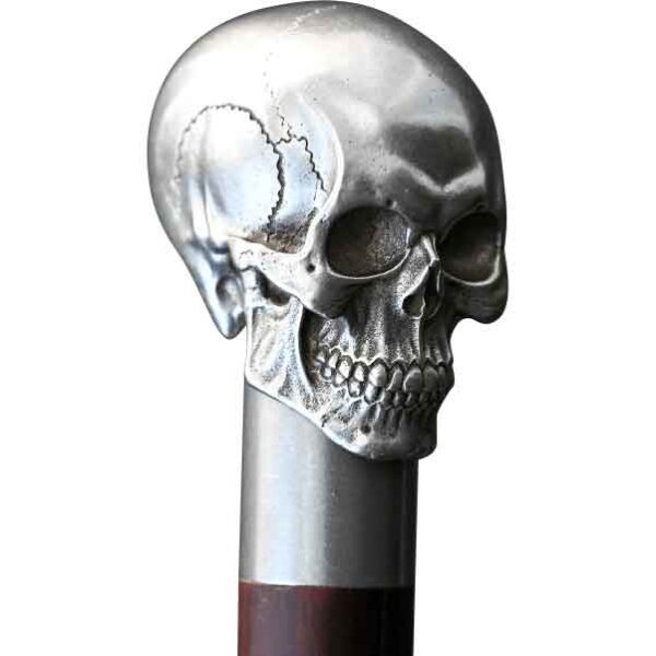 Steel Skull Sword Cane