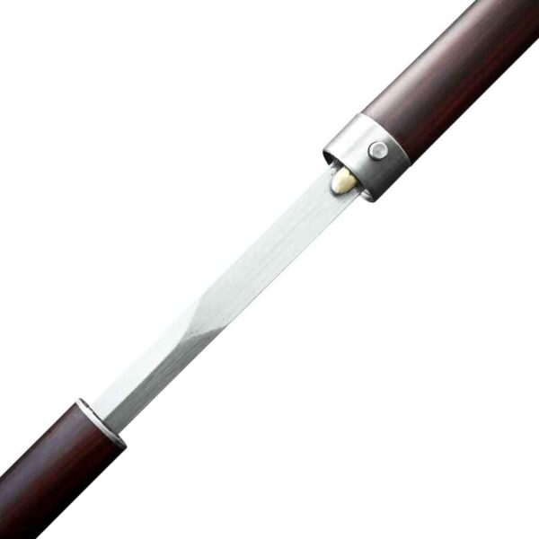 Steel Skull Sword Cane