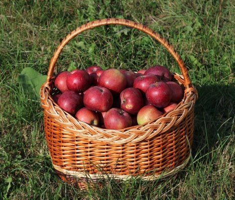 Harvest Festivals and their Medieval Roots Harvest Festivals and their Medieval Roots